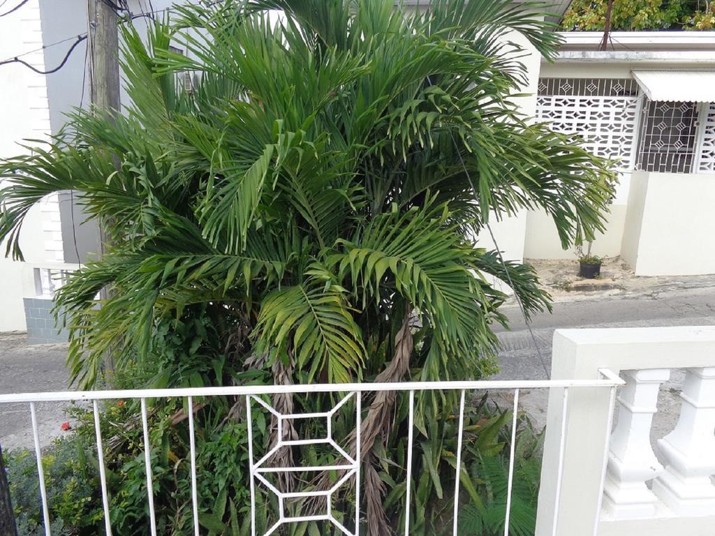 Bethel Court Guesthouse Montego Bay Exterior foto